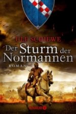 Der Sturm der Normannen