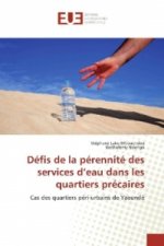 Défis de la pérennité des services d'eau dans les quartiers précaires
