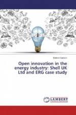 Open innovation in the energy industry: Shell UK Ltd and ERG case study