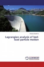 Lagrangian analysis of bed-load particle motion