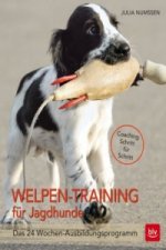 Welpen-Training für Jagdhunde