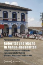 Autorität und Macht in Nahua-Haushalten