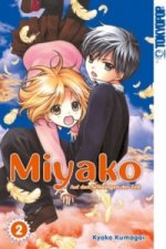 Miyako - Auf den Schwingen der Zeit. Bd.4