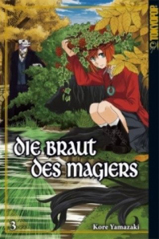 Die Braut des Magiers. Bd.4