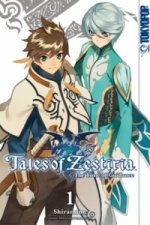 Tales of Zestiria - The Time of Guidance. Bd.2