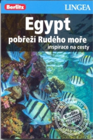 Egypt pobřeží Rudého moře