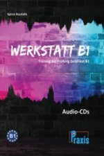 Werkstatt B1 - 5 Audio-CDs
