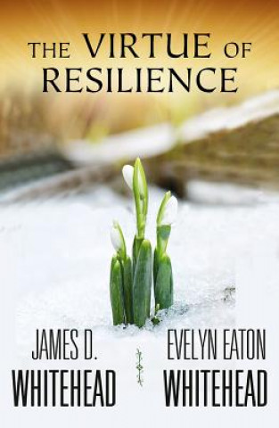 Virtue of Resilience