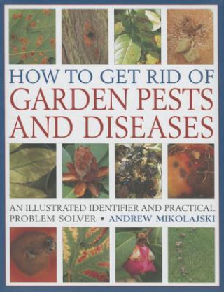 How to Get Rid of Garden Pests and Diseases