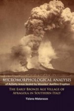 Micromorphological Analysis of Activity Areas Sealed by Vesuvius' Avellino Eruption