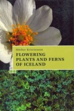 Guide to the Flowering Plants and Ferns of Iceland