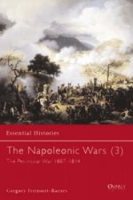 Napoleonic Wars (3)