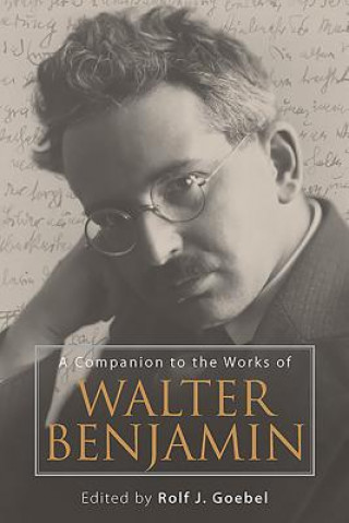 Companion to the Works of Walter Benjamin