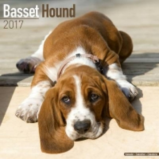 Basset Hound Calendar 2017