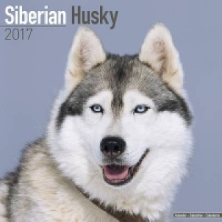 Siberian Husky Calendar 2017
