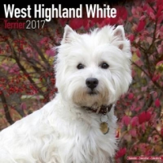 West Highland Terrier Calendar 2017