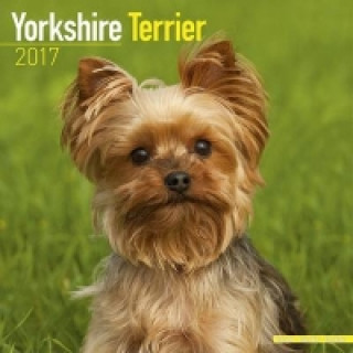 Yorkshire Terrier Calendar 2017