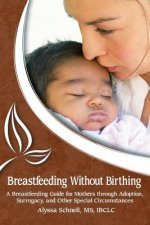 Breastfeeding Without Birthing: A Breastfeeding Guide for Mothers through Adoption, Surrogacy, and Other Special Circumstances