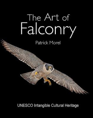 Art of Falconry