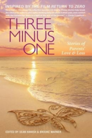 Three Minus One: Parents' Stories of Love and Loss