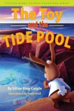 Toy and the Tide Pool
