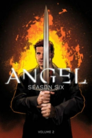 Angel Season Six Volume 2