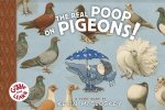 Real Poop on Pigeons