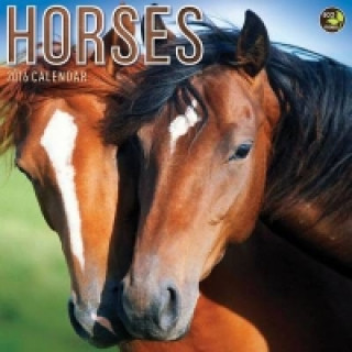 HORSES CANLENDAR 2016