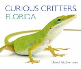 Curious Critters Florida