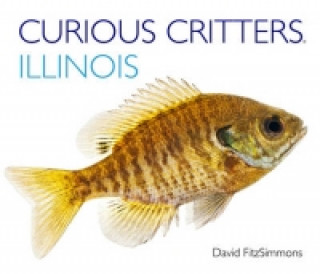 Curious Critters Illinois