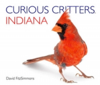 Curious Critters Indiana