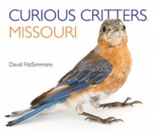 Curious Critters Missouri