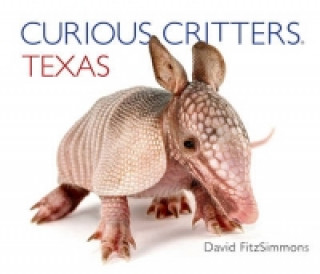 Curious Critters Texas