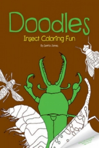 Doodles Insect Coloring Fun