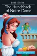 Hunchback of Notre-Dame