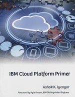 IBM Cloud Platform Primer