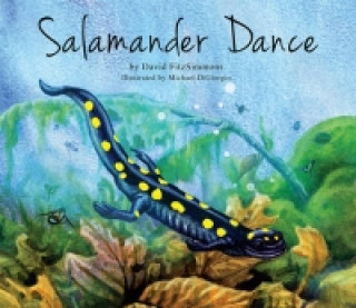 Salamander Dance