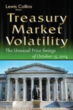 Treasury Market Volatility