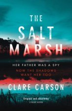 Salt Marsh