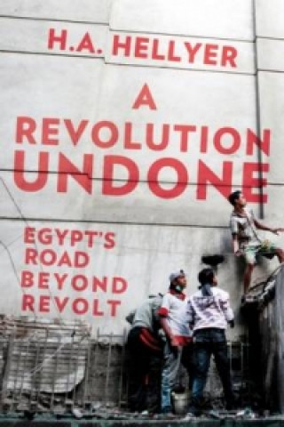 Revolution Undone