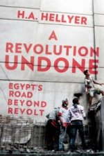 Revolution Undone