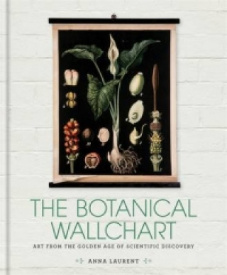 Botanical Wall Chart