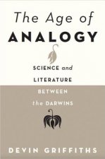 Age of Analogy