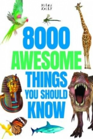8000 Awesome Things You Should Know