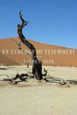 Ecology of Elsewhere