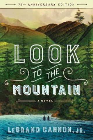 Look to the Mountain - A Novel
