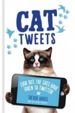 Cat Tweets