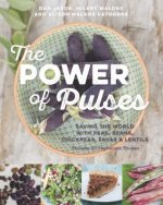 Power of Pulses