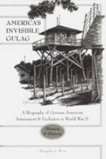 America's Invisible Gulag