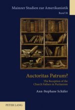 Auctoritas Patrum?